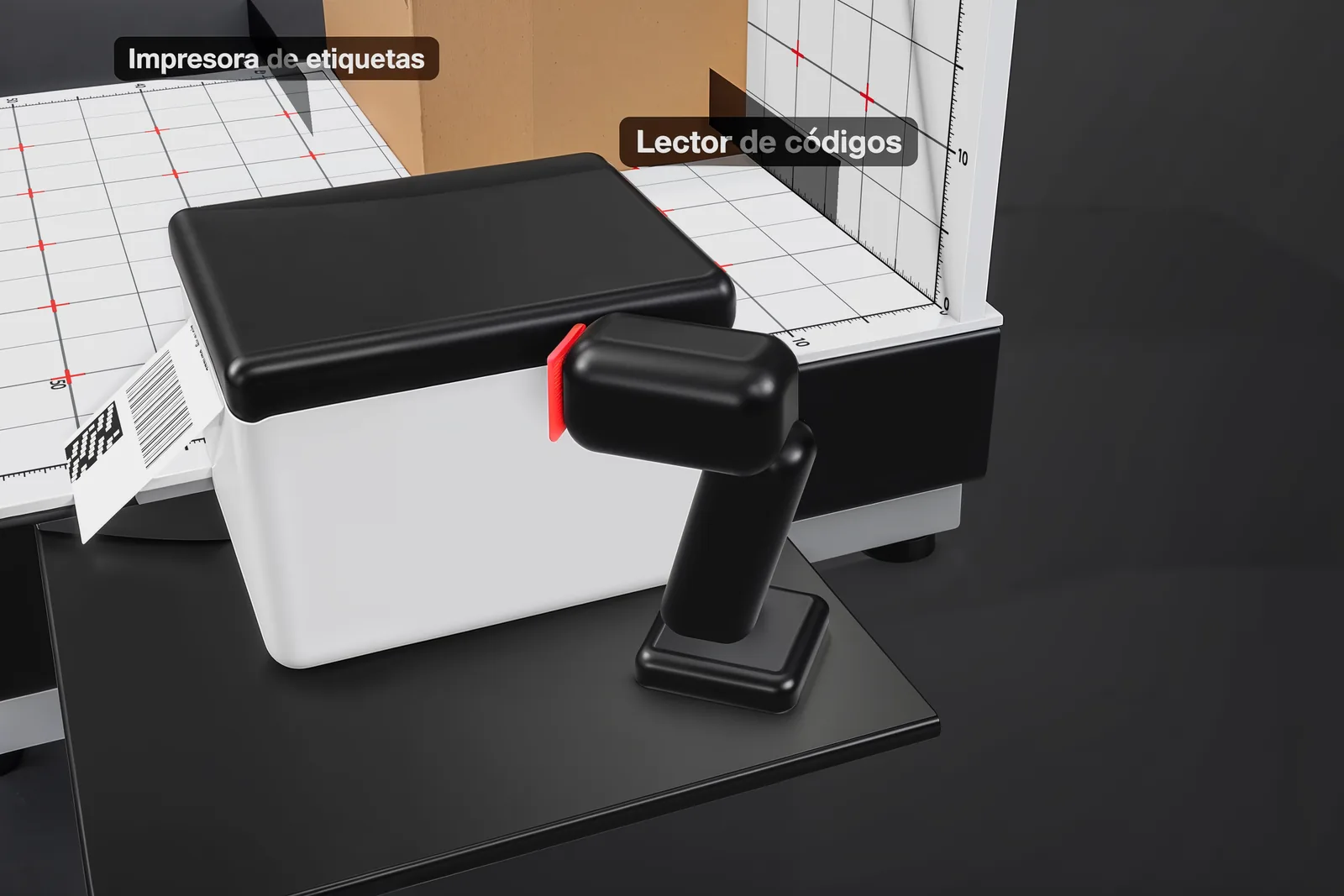 Identificación y lectura